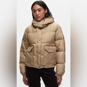 the north face 71 sierra Down Short Jacket Khaki Stone Size Medium new with tags